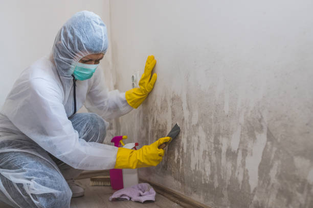 Best Mold Inspection  in Piedmont, OK