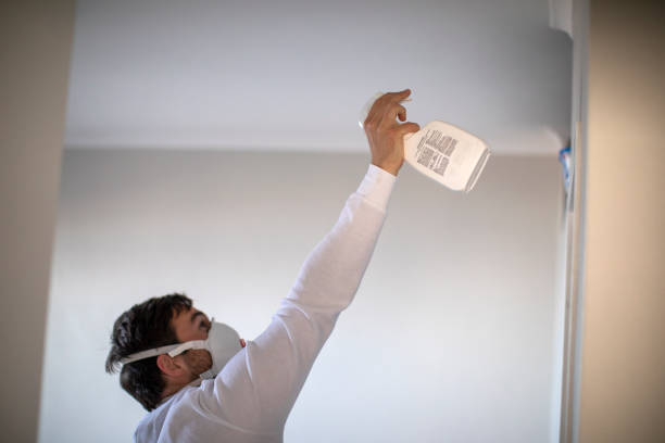 Best Mold Remediation  in Piedmont, OK