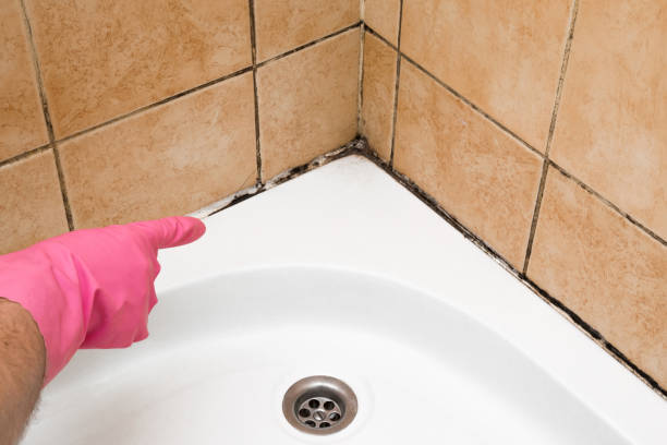 Best Mold Testing  in Piedmont, OK